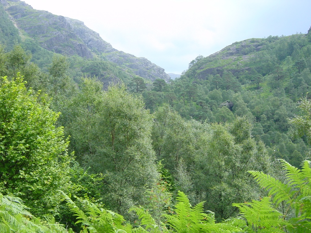 Scottish Highlands - towards the waterfall
