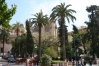 Mallorca Cathedral