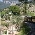 The train wending its way through the countryside