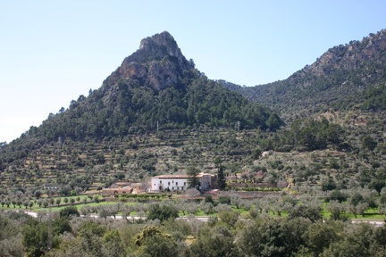 Typical Mallorcan countryside