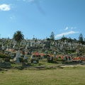 A cemetery ...