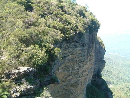 5 - A cliff with birdies
