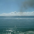 4 - Fraser Island and ferry smoke