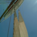 68 - The sails are up again