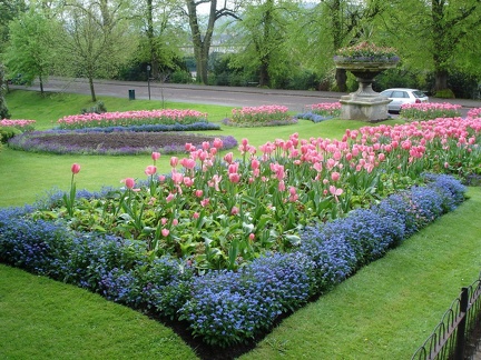 Bath - flower garden