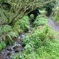 Exmoor - stream