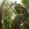 15 - Another rocky forest shot