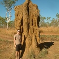 113 - A huge Termite mound
