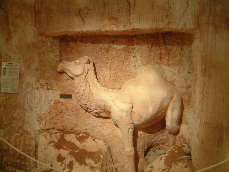 18_A_carved_camel.jpg