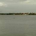 9 - Dolphins in the Swan River