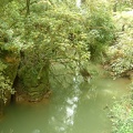 55 - Green water