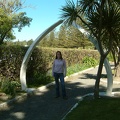 18 - Whale rib arches