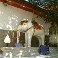 81_A_white_elephant_chose_the_temple_location.jpg