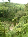 89 - Two days of jungle trekking