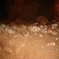 fossils in the sulphur mine