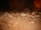 fossils in the sulphur mine
