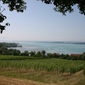 Views of Lake Constance near Meeresburg.