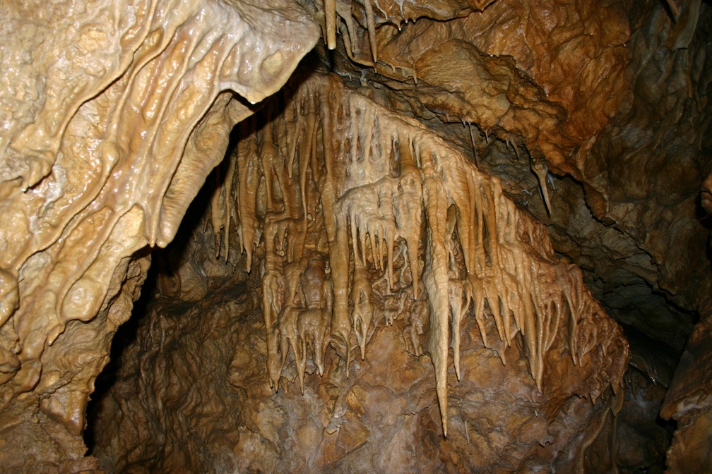Inside Boskov dolomite caves