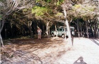 Finding a suitable spot for the camp - near the beach but under shady trees.