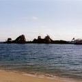 The wrecks near Tangalooma.