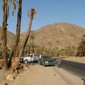 Picture 800.jpg - Oasis on the way to Sinai with local bedouins this time not on camels!