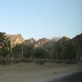 Picture 802.jpg - Oasis on Sinai 