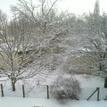 Snowy backyard