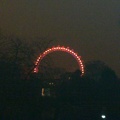 London Eye lit up before the fireworks