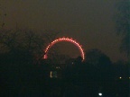 London Eye lit up before the fireworks