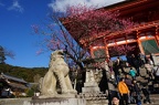 Stone do guarding Kiyomizu-dera Temple entrance gate.