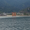 First view of the famous torii gate.