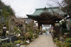 The upper gatehouse of the Daisho-in temple.