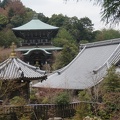 Daisho-in temple complex.