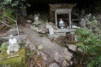 There are many little shrines dotted all over Mt Misen.
