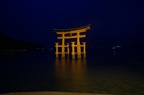 The Miyajima torii gate lit up at night.