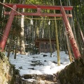 Small shrine in bamboo grove