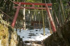 Small shrine in bamboo grove