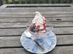 Berry ice-cream :)