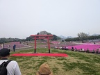 PXL_20250420_022342725