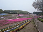 PXL_20250420_024238590