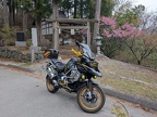 PXL_20250420_041456723