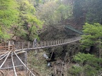 PXL_20250420_053322284