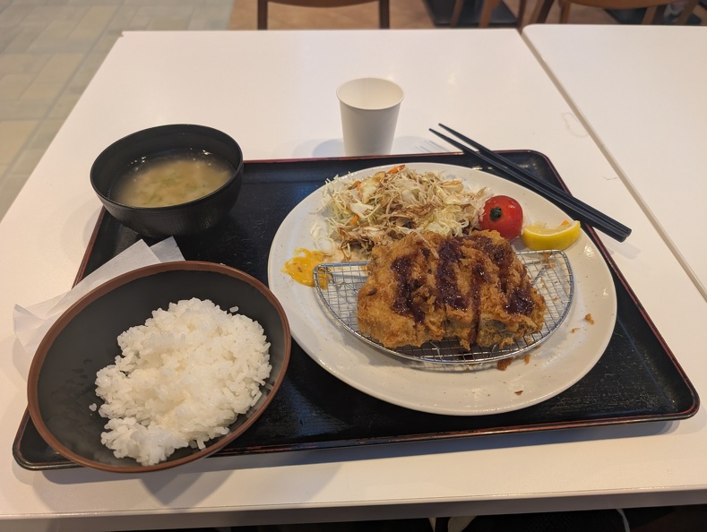 Tonkatsu dinner at the Numazu highway rest stop on the Shin Tomei Expressway (E1A). PXL_20250511_102659337.jpg