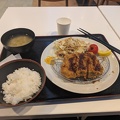 Tonkatsu dinner at the Numazu highway rest stop on the Shin Tomei Expressway (E1A).