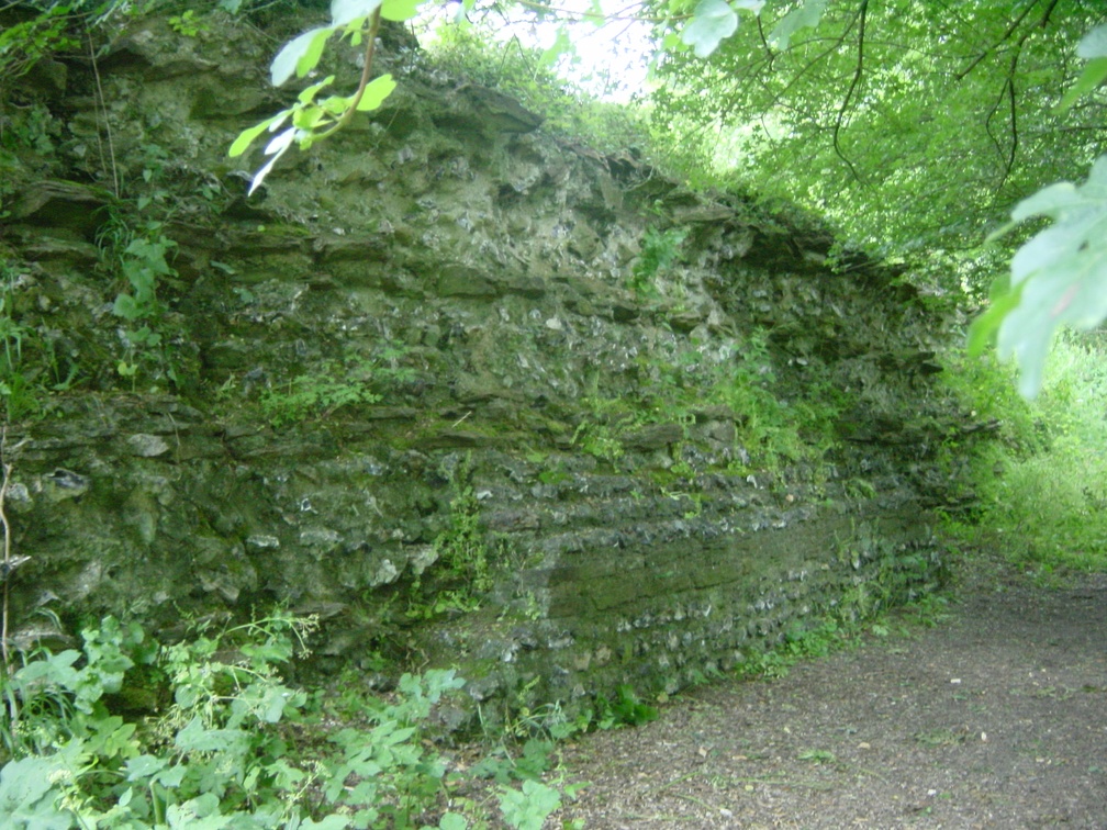 Part of the roman wall under a tree.