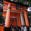 Fushimi Inari-taisha Shrine Tori gates