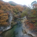 DSC08007