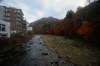 DSC08028