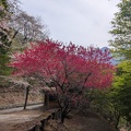 PXL_20250420_052626868