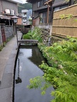 PXL_20250503_085844791